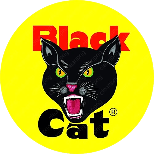 BLACK CAT